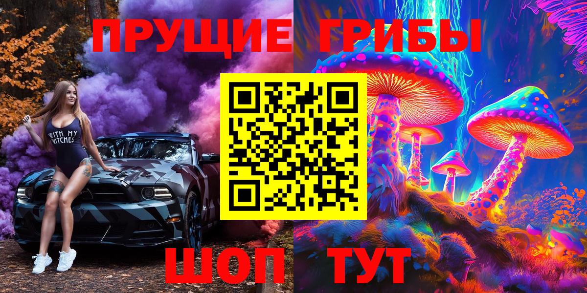 Скопин  Псилоцибиновые грибы Psilocybe  Вход с VPN 