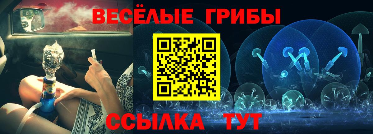 Галлюциногенные грибы мухоморы Скопин